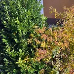 Apartman Gyorapartman2