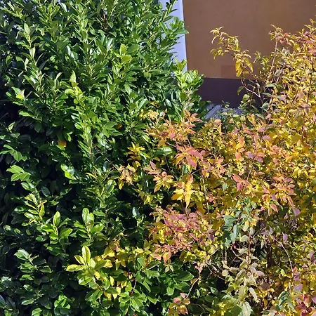 شقة Gyorapartman2