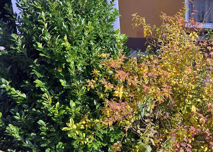 Apartament Gyorapartman2